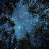 Beautiful Night Sky Wall Tapestry - Home Excelsior 